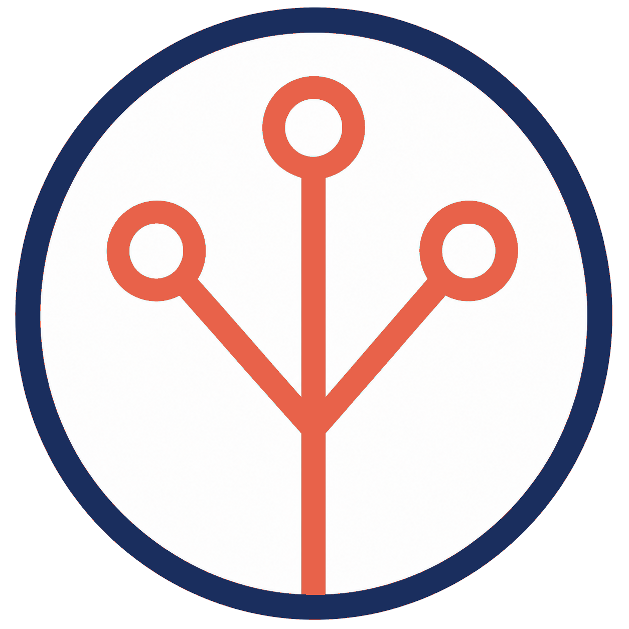 Cordata